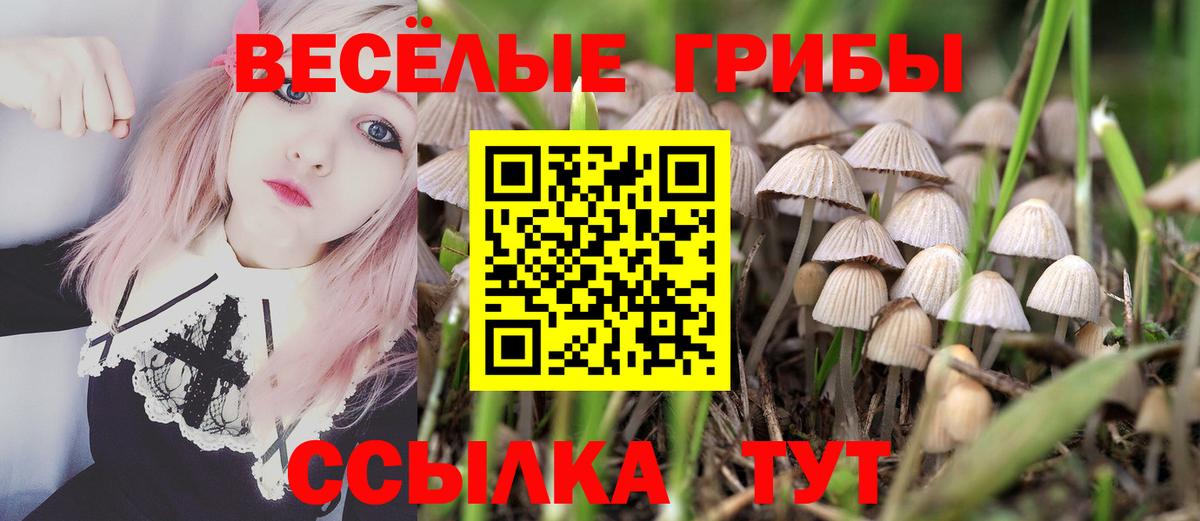Героин Кропоткин