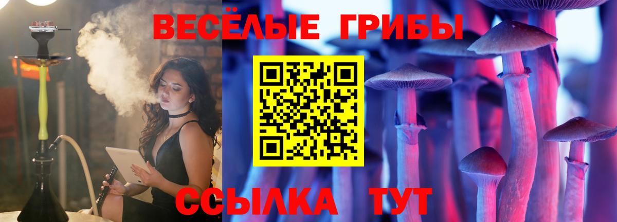 Псилоцибиновые грибы GOLDEN TEACHER  Вход с VPN  Кропоткин 